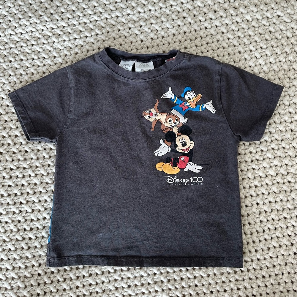 Zara Disney shirt